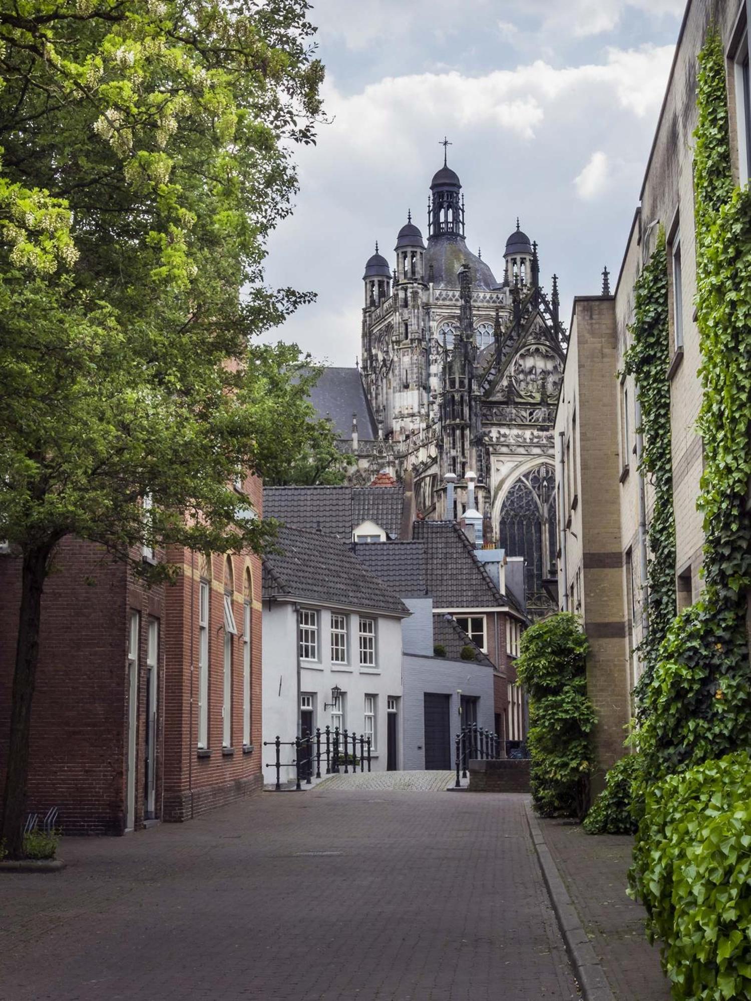 路林堡-圣米希尔斯赫斯特尔酒店 Sint Michielsgestel 外观 照片